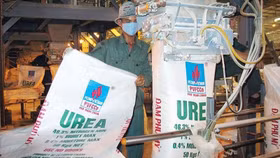 Dragon Capital mua vào 1,2 triệu cổ phiếu DCM