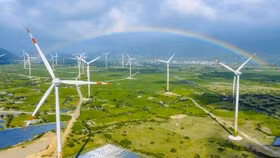 Chính thức công khai 62 dự án điện gió không thể về đích trước ngày 1/11/2021