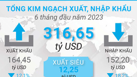 Tổng quan tình hình xuất nhập khẩu Việt Nam trong 6 tháng đầu năm 2023