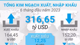 Tổng quan tình hình xuất nhập khẩu Việt Nam trong 6 tháng đầu năm 2023
