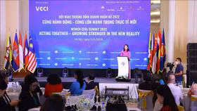 Hội nghị Thượng đỉnh Doanh nhân nữ ASEAN 2022: Cùng hành động - Cùng lớn mạnh