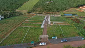 Lâm Đồng tạm dừng tiếp nhận, giải quyết thủ tục phân lô, tách thửa đất