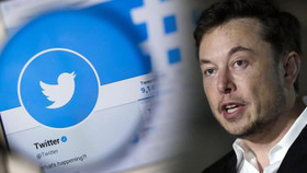 Elon Musk quyết định không tham gia vào hội đồng quản trị Twitter