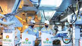 Cổ phiếu DPM và DCM phản ứng thế nào trước đề xuất của EVN?