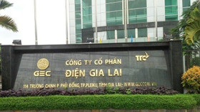 Quỹ ngoại DEG gom thành công 64,2 triệu cổ phiếu GEG của Điện Gia Lai