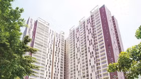 Xây dựng Dân dụng Hà Nội muốn chia cổ phiếu thưởng dù không ghi nhận giao dịch trên thị trường