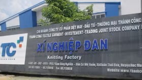 6 tháng đầu năm, TCM ước lãi vượt 115 tỷ đồng