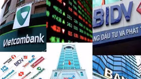 Ngân hàng chuyển đổi sổ: Hành trình không hồi kết