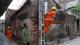 Cách nhà thầu Xây lắp Ba Đình trúng hàng loại các gói thầu tại các đơn vị điện lực