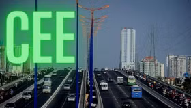 CEE hủy tư cách công ty đại chúng vào 22/07