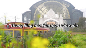 Fansipan mùa hoa nở trong mây