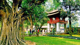 Được nâng cấp, hệ thống bán vé điện tử của Văn Miếu - Quốc Tử Giám có gì đặc biệt?