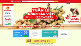 Nhãn lồng Hưng Yên từng bước lên các sàn thương mại điện tử trong mùa dịch