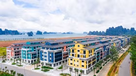 CEO Group lỗ quý thứ 4 liên tiếp, mới hoàn thành 25% mục tiêu cả năm