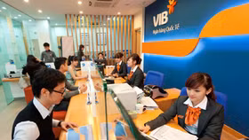 Lợi nhuận của VIB đang "nấp” ở đâu?
