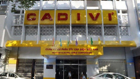 Cadivi bị truy thu và nộp phạt gần 16 tỷ đồng tiền thuế