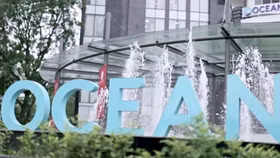 Quý 2/2017, Ocean Group báo lỗ gần 300 tỷ đồng