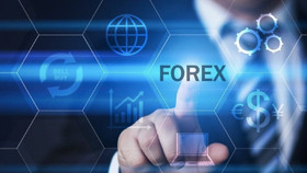 NHNN cảnh báo các nhà đầu tư tham gia sàn Forex bất hợp pháp