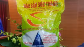 Bộ NN&PTNT sẽ trình Chính phủ mua lại bản quyền giống lúa ST25