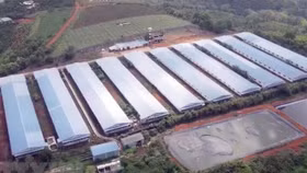 Phạt 1,4 tỷ đồng doanh nghiệp tại Đắk Nông do vi phạm về môi trường