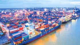 Một quỹ ngoại "đu đỉnh" cổ phiếu DVP để làm cổ đông lớn của Đầu tư và Phát triển Cảng Đình Vũ