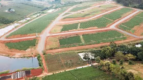 Lâm Đồng: Kiên quyết không điều chỉnh quy hoạch để hợp thức hóa sai phạm về “phân lô, tách thửa”