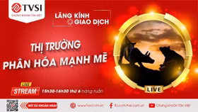 Chứng khoán Tân Việt tạm dừng dịch vụ ứng trước tiền bán chứng khoán