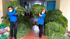 Nhật ký chống dịch Covid-19: Hơn 7 tấn hàng hoá từ Bình Phước gửi tặng bà con tại TP.HCM