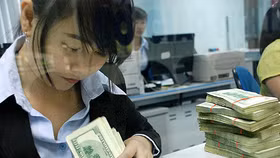 Tỷ giá hạ nhiệt sau động thái trấn an của NHNN