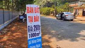 Có 20 tỉnh có nguy cơ “sốt” đất sau đấu giá