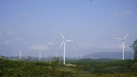 Tổng thư ký Liên Hợp Quốc: Thúc đẩy doanh nghiệp, nhà đầu tư và các thành phố thực hiện các cam kết phát thải ròng bằng 0