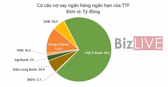 Gỗ Trường Thành âm vốn nặng, ngân hàng nào phải lo? ảnh 1