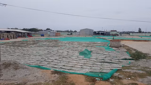 Soi khu đất Hoa Sen sẽ làm nhà máy thép 10 tỷ USD ảnh 9