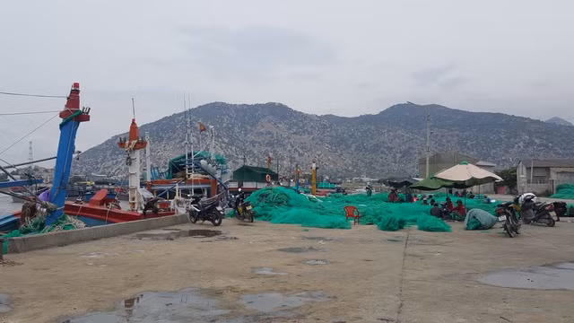 Soi khu đất Hoa Sen sẽ làm nhà máy thép 10 tỷ USD ảnh 8