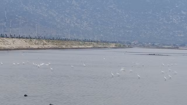 Soi khu đất Hoa Sen sẽ làm nhà máy thép 10 tỷ USD ảnh 12