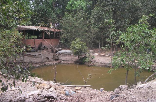 Dự án tỷ đô hoang tàn, Berjaya vung tiền làm xổ số điện toán ảnh 5