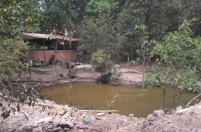 Dự án tỷ đô hoang tàn, Berjaya vung tiền làm xổ số điện toán ảnh 5