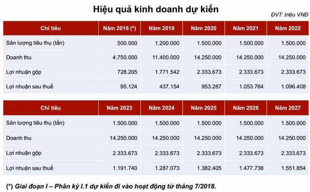 Dự án thép Hoa Sen Cà Ná: Vay cả chục nghìn tỷ, thu lãi nghìn tỷ mỗi năm? ảnh 4