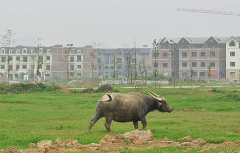 Hà Nội đang phải "trả giá" cho sự quy hoạch vội vàng? ảnh 3