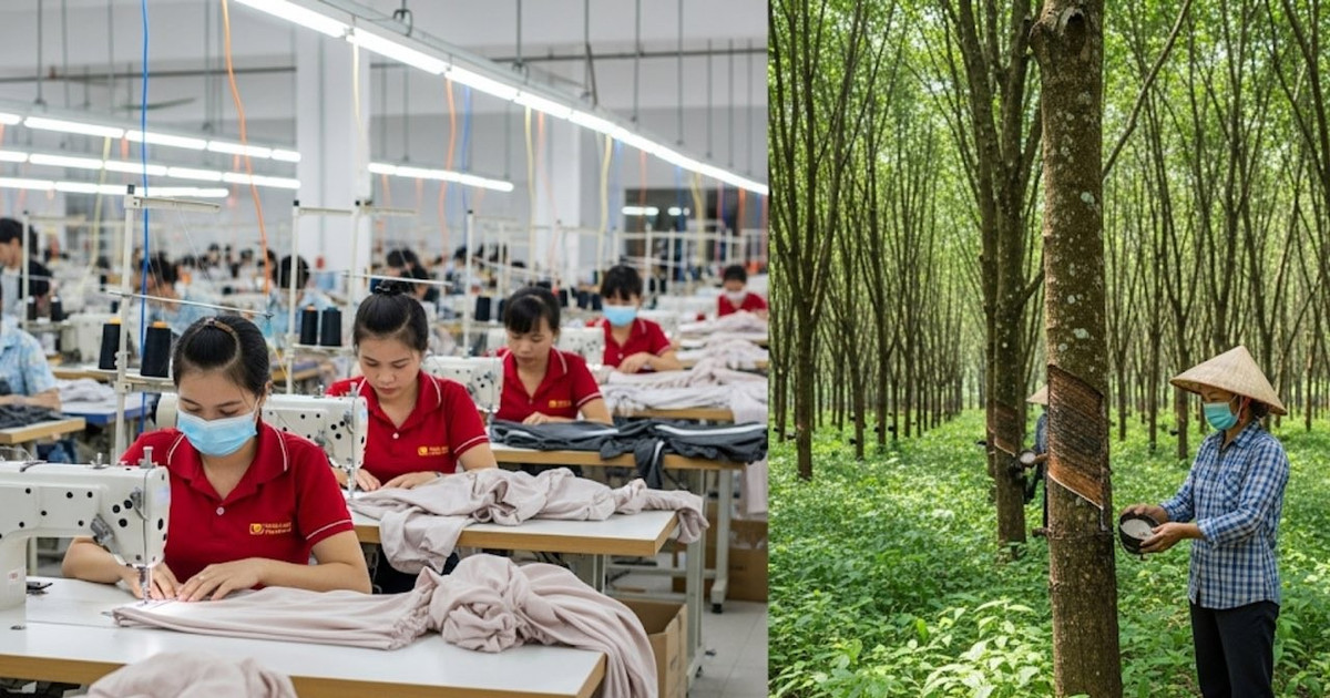 Một số doanh nghiệp dệt may, cao su bứt tốc nửa đầu 2025