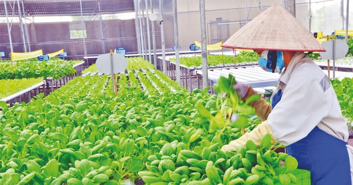 Nghệ An Nỗ Lực Đẩy Mạnh Xuất Khẩu: Cơ Hội và Thách Thức