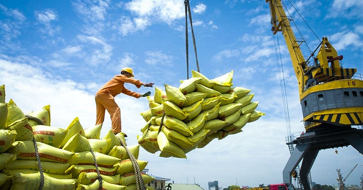 Đối tác mua gạo lớn nhất của Việt Nam dừng nhập khẩu, Hiệp hội Lương thực kiến nghị khẩn Bộ Công Thương