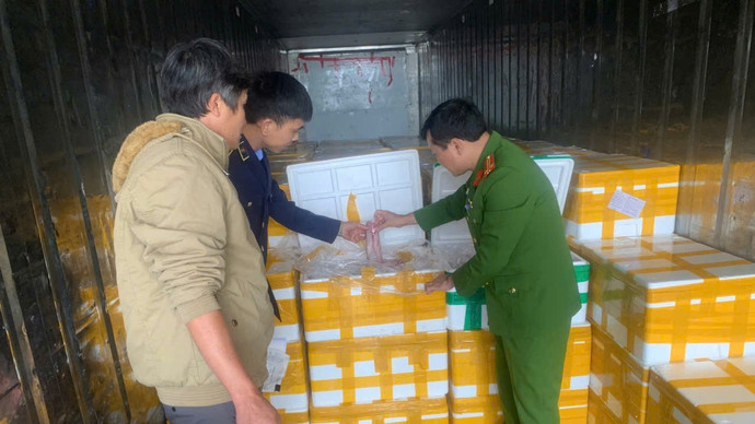 Thu giữ hàng chục tấn cá chứa chất cấm cực độc đang trên đường đi tiêu thụ
