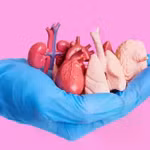 Đề xuất cho người dưới 18 tuổi hiến mô tạng, Bộ Y tế nói gì?