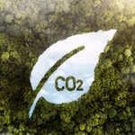 Vốn cho chuyển đổi xanh: Chờ sức bật từ thị trường carbon