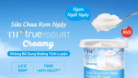 Sữa Chua Kem Ngậy Không Bổ Sung Đường Tinh Luyện TH true YOGURT Creamy mới