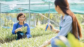 Khởi nghiệp xã hội có thể giúp Đông Nam Á giải quyết những thách thức lớn nhất về phát triển bền vững. Ảnh: Magnific