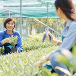 Khởi nghiệp xã hội có thể giúp Đông Nam Á giải quyết những thách thức lớn nhất về phát triển bền vững. Ảnh: Magnific
