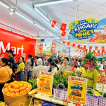 Masan cải thiện chất lượng lợi nhuận, các tổ chức tài chính nhìn nhận lại tiềm năng dài hạn