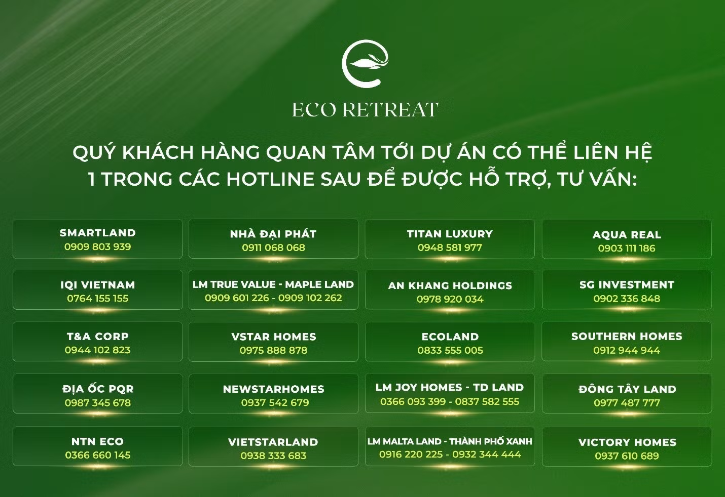 e9.jpg